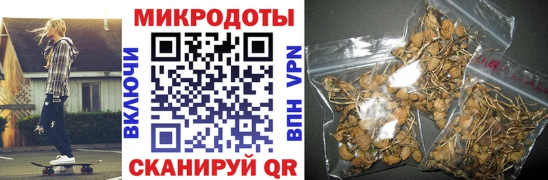Купить  Заволжск  Псилоцибиновые грибы Psilocybe 